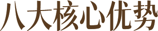 八大核心优势